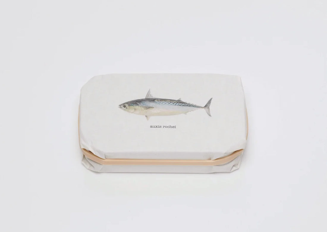 kleine Filets Fregattmakrele (bullet tuna) PYSCIS